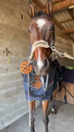 Couverture activomed