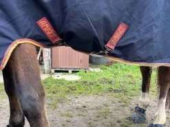 Couverture amigo bleu nuit taille 145 250gr