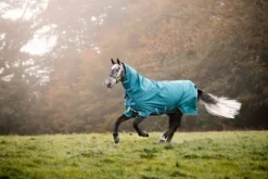 Couverture Amigo Bravo 12 plus 100g - Horseware - extérieur