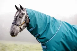 Couverture Amigo Bravo 12 plus 100g - Horseware - extérieur