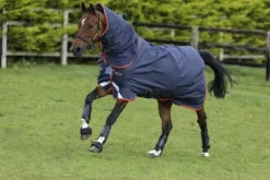 Couverture Amigo Bravo 12 plus 100g - Horseware - extérieur