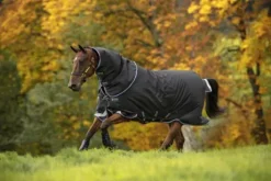 Couverture Amigo Bravo 12 plus 250g - Horseware - imperméable