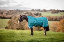 Couverture Amigo Bravo 12 Wug Légère 0g - Horseware - 1200D imperméable