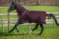 Couverture Amigo Hero ripstop plus lite 0g - Horseware - extérieur imperméable