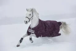 Couverture Amigo Hero Ripstop 50g - Horseware - extérieur imperméable