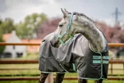 Couverture Amigo Hero Ripstop 50g - Horseware - extérieur imperméable