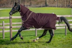 Couverture Amigo Hero ripstop plus 200g - Horseware - imperméable