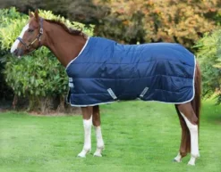 Couverture Amigo insulator medium 210d - horseware - 200g