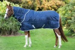 Couverture Amigo insulator Moyen avec couvre cou - Horseware - 200g