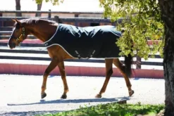 Couverture Amigo Walker - Horseware - Imperméable, 200g