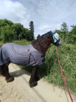 Couverture anti mouche avec couvre cou