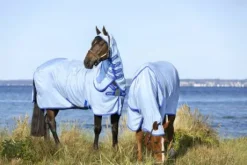 Couverture anti-insectes Amigo Ripstop Hoody - Horseware - Résistante et respira