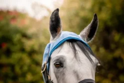 Couverture anti-insectes Ripstop Hoody - Amigo - Polyester 600D