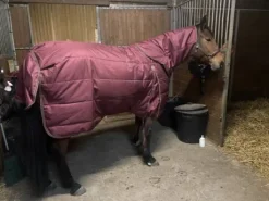 Couverture écurie Premier Equine 350g avec couvre cou