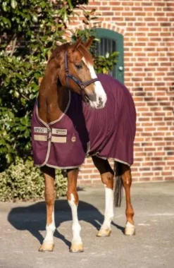 Couverture d'écurie Amigo Stable Sheet - Horseware - Ultra légère