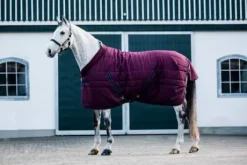 Couverture d'écurie Rambo cosy stable 250g - Horseware
