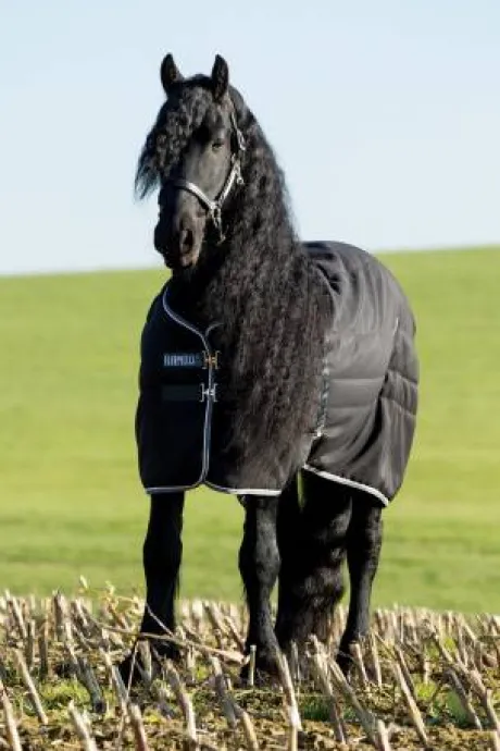 Couverture d'écurie Rambo Stable 200g - Horseware - extérieur en 1000d ripstop