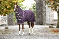 Couverture de box Amigo stable plus moyen - Horseware - 200g