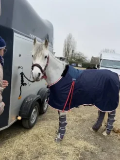 Couverture de box Pénélope poney