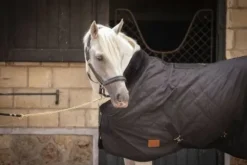 Couverture de boxe matelassée 200 Gr Paddock Sports