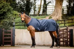 Couverture de marcheur Amigo Walker - Horseware - 100g