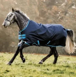 Couverture d'extérieur AMIGO Bravo 12 Turnout 100g  - HORSWARE