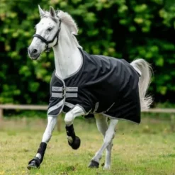 Couverture d'extérieur AMIGO Bravo 12 Turnout 100g  - HORSWARE