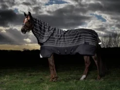 Couverture d'extérieur Amigo Bravo 12 Reflectech Plus - Horseware - 100g