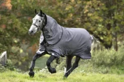 Couverture d'extérieur Amigo Bravo 12 Reflectech Plus - Horseware - 100g