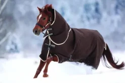 Couverture extérieur Amigo Bravo 12 Turnout Heavy - Horseware - 400g