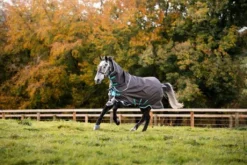 Couverture extérieur Amigo Bravo 12 Plus Medium