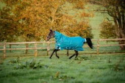 Couverture extérieur Amigo Bravo 12 Plus 400g