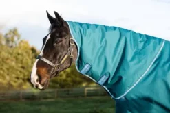 Couverture extérieur Amigo Bravo 12 Plus 400g