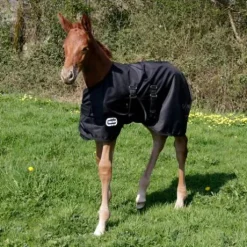Couverture extérieur poulain 1680D
