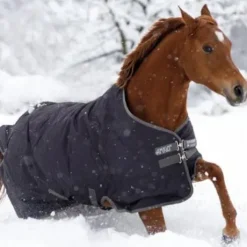 Couverture extérieure Amigo Turnout 600d - Horseware