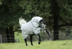 Couverture extérieure Rambo Duo Bundle