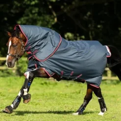 Couverture Horseware Amigo Bravo 12 Plus 250 grammes