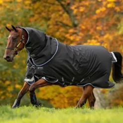 Couverture Horseware Amigo Bravo 12 Plus 250 grammes