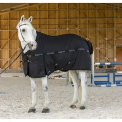 Couverture Paddock Equiline 200g CLINT