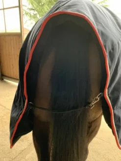 Couverture Pénélope