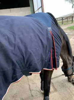 Couverture Pénélope