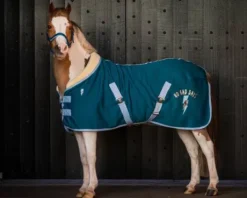 Couverture polaire thunderbolt poney QHP