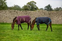 Couverture pour poulains Amigo 200g - Horseware - polyester indéchirable