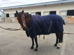 COUVERTURE RAMBO COSY