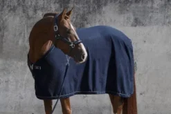 Couverture séchante Fleece Stamped Platinum 2022- Eskadron