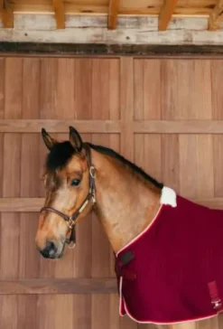 Couverture séchante PROTherm - KENTUCKY