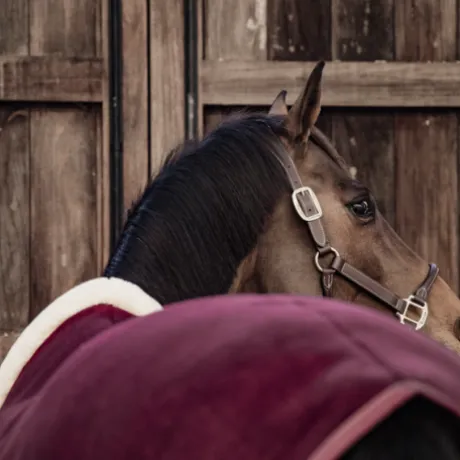 Couverture séchante Show Heavy - Kentucky