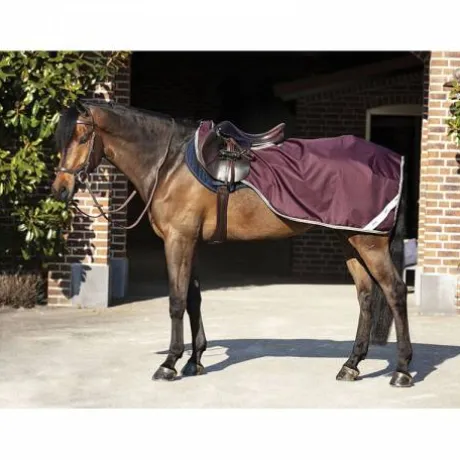 Couvre Reins Amigo imperméable - Horseware
