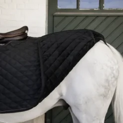 Couvre reins carré - Kentucky