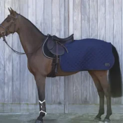 Couvre reins carré - Kentucky